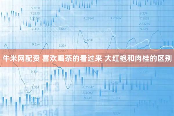 牛米网配资 喜欢喝茶的看过来 大红袍和肉桂的区别